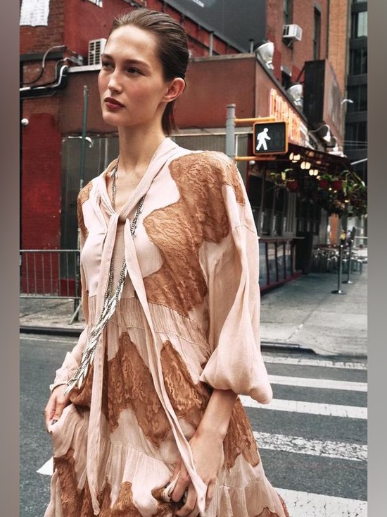 Zara Dresses & Skirts - Zara Maxi Lace Dress Crinkle Long Rouched Sleeves High Tie Bow Collar V-Neck Med